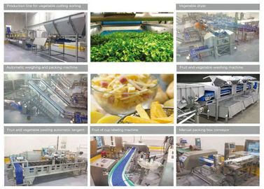 380V Commercial Food Canning Equipment Fresh Cut Fruit / Vegetable Production Line