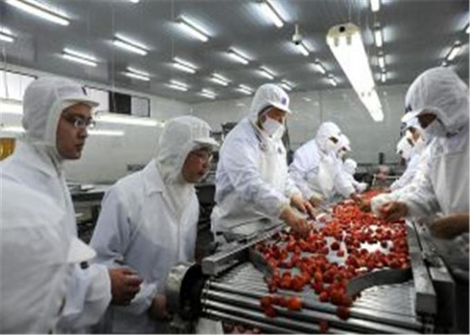 Customized Fruit Canning Equipment Canned Strawberry Production Machine