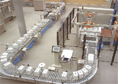Customized Roller Food Conveyor System Horizontal Type For Packing / Storing