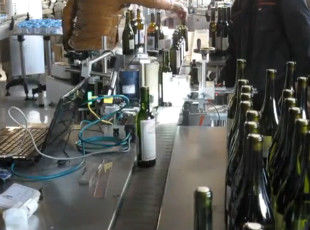 Beer / Wine Bottle Labelling Machine Synch Printing With Simple Design